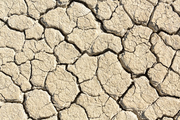 Cracked playa mud texture from the desert