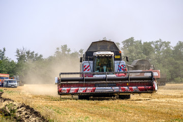 Harvester in dust clubs at work on the harvest of wheat on a huge field in the summer. Thus, the birth of bread occurs.