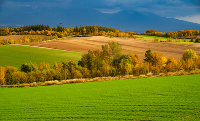 beautiful farm on the hill