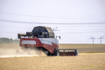 Harvester in dust clubs at work on the harvest of wheat on a huge field in the summer. Thus, the...
