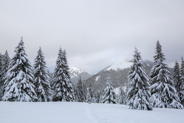On the lawn covered with snow there is a trodden path leading to the high mountains with snow white...