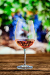 Glass of rose wine with blurred vineyard on background