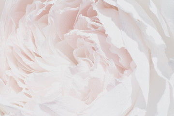 Fototapeta premium One huge, large paper decorative flower, decor