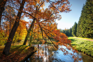 Golden Autumn in Catherine Park, Tsarskoye Selo. The city of Pushkin, Leningrad region.