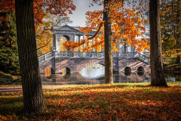 Golden Autumn in Catherine Park, Tsarskoye Selo. The city of Pushkin, Leningrad region. Marble...
