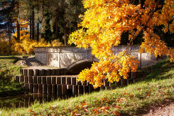 Golden Autumn in Catherine Park, Tsarskoye Selo. The city of Pushkin, Leningrad region.