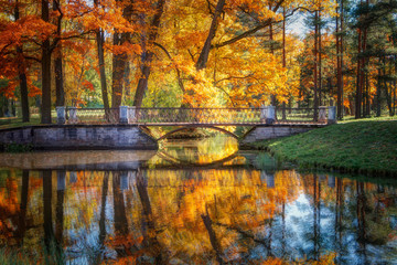 Golden Autumn in Catherine Park, Tsarskoye Selo. The city of Pushkin, Leningrad region. Metallic...