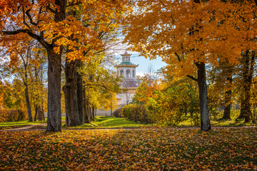 Golden autumn in Alexander Park near Tsarskoye Selo. The city of Pushkin, Leningrad region. Chinese...