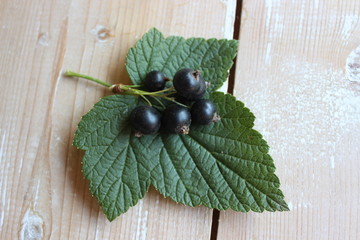 Blackcurrant berries on the background of boards