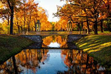 Golden autumn in Alexander Park near Tsarskoye Selo. The city of Pushkin, Leningrad region. View of...
