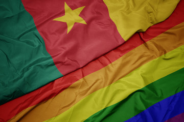 waving colorful gay rainbow flag and national flag of cameroon.
