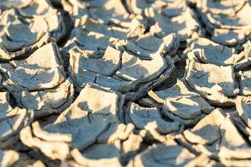 Cracked playa mud texture from the desert