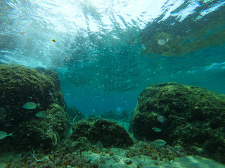 underwater background and free space for your decoration. 