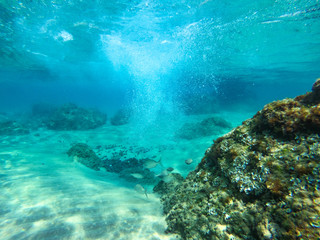 underwater background and free space for your decoration. 