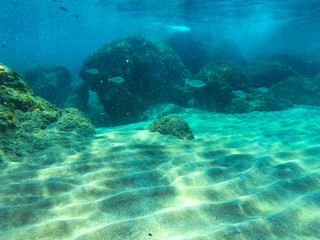 underwater background and free space for your decoration. 