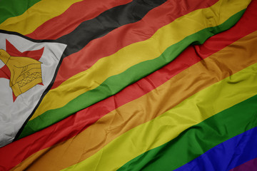 waving colorful gay rainbow flag and national flag of zimbabwe.