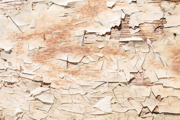 old wooden peeled texture