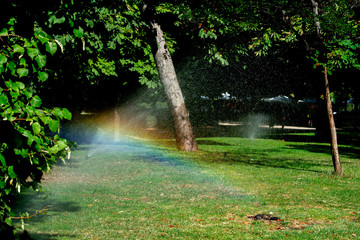 Rainbow vision on a grass in a large park