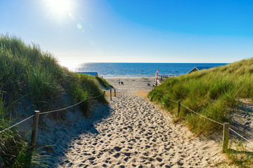 beach access in the dunes of Texel, Netherlands - obrazy, fototapety, plakaty