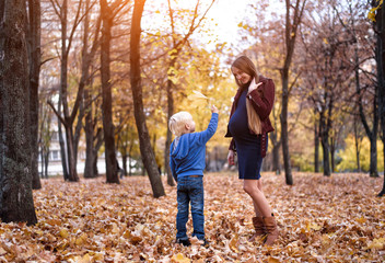 Fototapeta premium Little blond boy gives his pregnant mother yellow leaf. Autumn park on the background