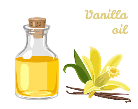 Vanilla essential oil in a glass bottle and yellow fragrant flower Isolated on a white background. Aromatherapy concept. Vector illustration in cartoon simple flat style.