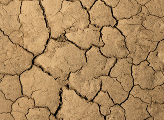 dry cracked earth