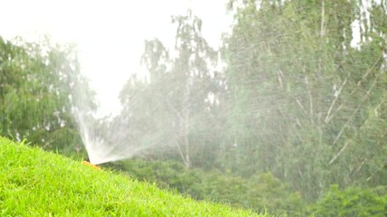  Grass lawn. Watering with sprinkling machine 