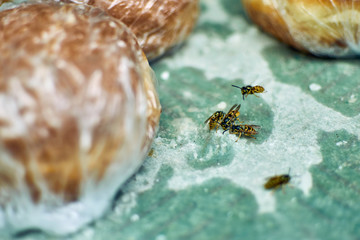 Bees eat sugar syrup near sweet buns.