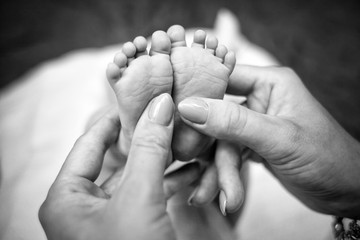 basket, baby, child, human, being, nature, juniper, day, tree, Portugal, life, begining, mother, father, parents, hand, feet, black and white, finger, finger