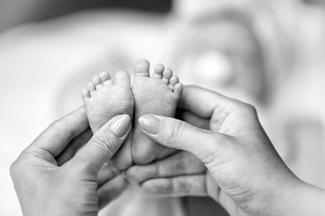 basket, baby, child, human, being, nature, juniper, day, tree, Portugal, life, begining, mother, father, parents, hand, feet, black and white, finger