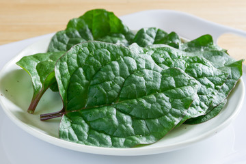 ツルムラサキの葉