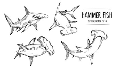 Sketch of shark, hummer fish. Hand drawn illustration converted to vector - obrazy, fototapety, plakaty