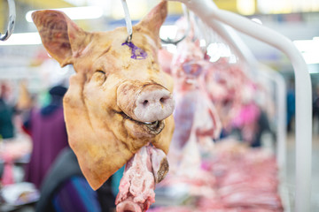 Head of slain pig hanging for sale in the market. selective focus photo from the natural home market with meat horned animals