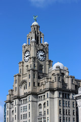 Fototapeta na wymiar Royal Liver Building Summer Close up of tower Liverpool, United Kingdom