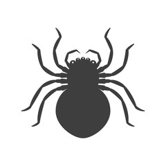 Icon absolutely black spider. Vector on a white background