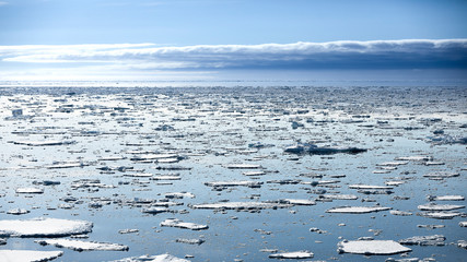 banquise pole nord © Mélinda