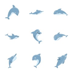 Dolphin mammal icon set. Cartoon set of 9 dolphin mammal vector icons for web design isolated on white background
