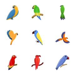 Jungle parrot icon set. Cartoon set of 9 jungle parrot vector icons for web design isolated on white background