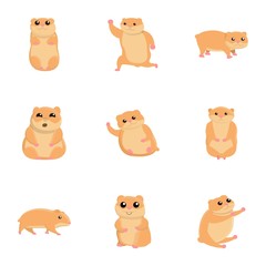 Home hamster icon set. Cartoon set of 9 home hamster vector icons for web design isolated on white background