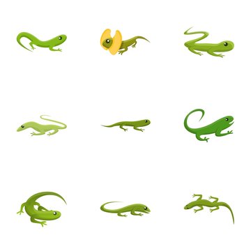 Green lizard icon set. Cartoon set of 9 green lizard vector icons for web design isolated on white background
