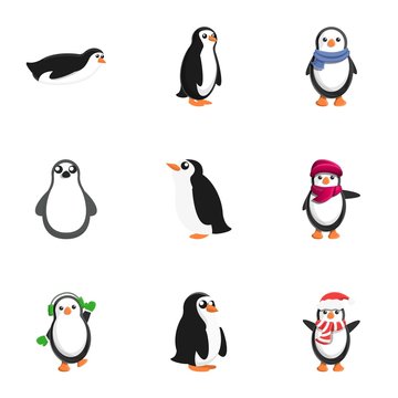 Christmas penguin icon set. Cartoon set of 9 Christmas penguin vector icons for web design isolated on white background