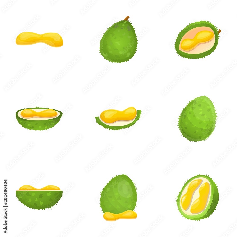 Poster raw durian icon set. cartoon set of 9 raw durian vector icons for web design isolated on white backg