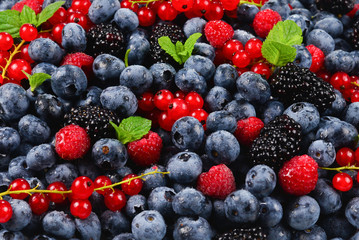 Blackberry, raspberry, blueberry,  red currant and mint background.