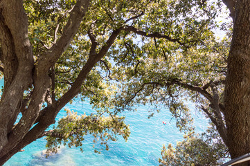 Beautiful view in Camogli, Liguria