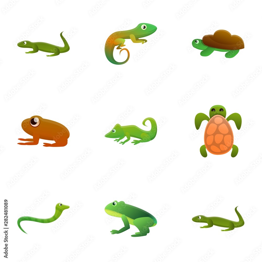 Poster zoo reptile icon set. cartoon set of 9 zoo reptile vector icons for web design isolated on white bac