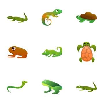 Zoo reptile icon set. Cartoon set of 9 zoo reptile vector icons for web design isolated on white background
