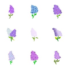 Lilac spring flower icon set. Cartoon set of 9 lilac spring flower vector icons for web design isolated on white background