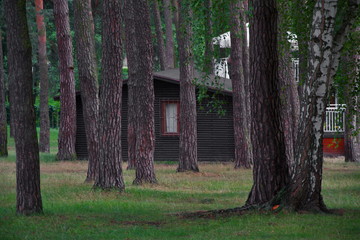 House in the woods