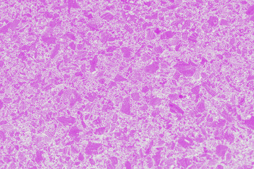 Close up pink color texture and abstract background.