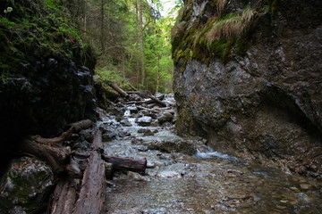 waterfall in forest